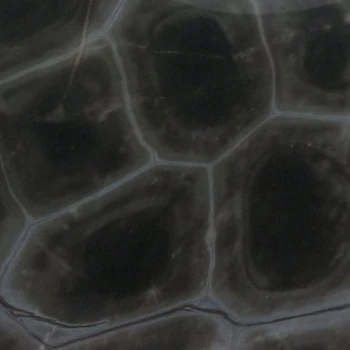 Turtle granite